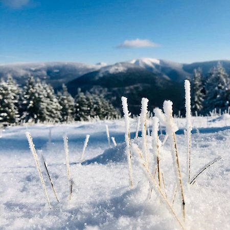 Appartamento Panorama 19 Špindlerŭv Mlýn Esterno foto