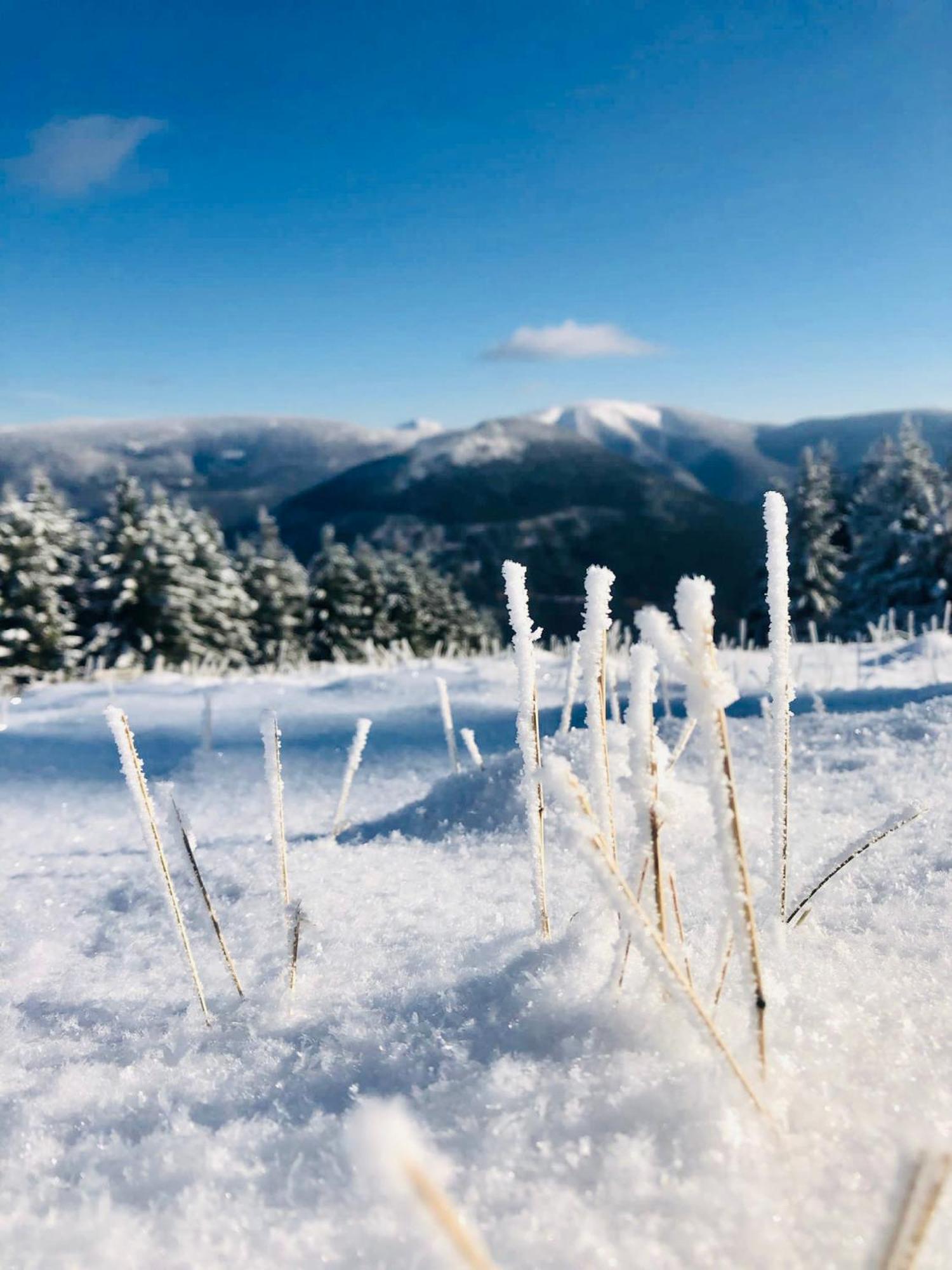 Appartamento Panorama 19 Špindlerŭv Mlýn Esterno foto